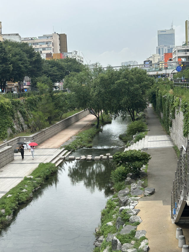 🖤 트렌디한 감각의 미학, 번트서울