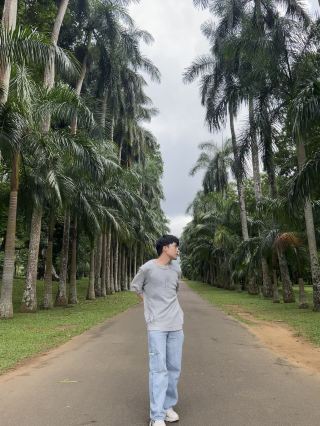 Sri Lanka's Most Photogenic Palm Avenue | Even Locals Are Eager to Take Photos with Fellow Travelers!