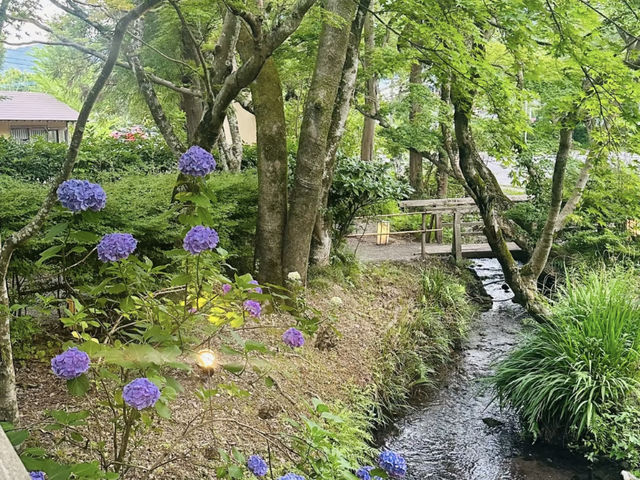 My Serene Stay at Yufuin no Haru Onsen Ryokan! ♨️🇯🇵