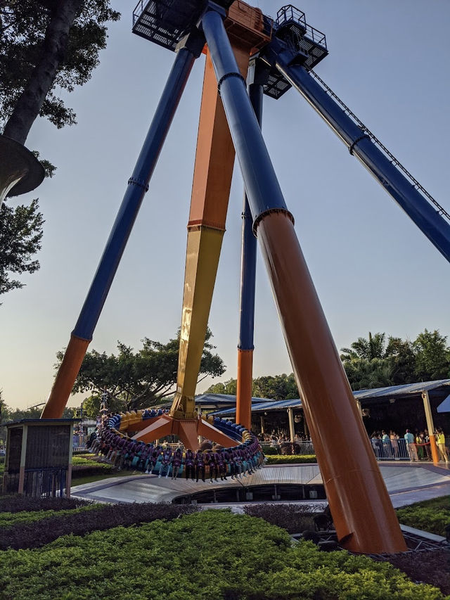 Chimelong Water Park, World-Class Thrills in a Tropical Wonderland 