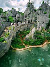 🌳🐒 “Step into the Wild!” – Asian Rainforest Adventure Singapore 