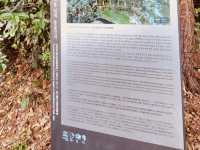 The Accessible Peak for Panoramic City and Ocean Views