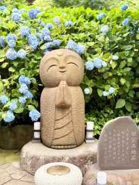 Hydrangea Heaven: A Summer Pilgrimage to Oga's Blue Temple