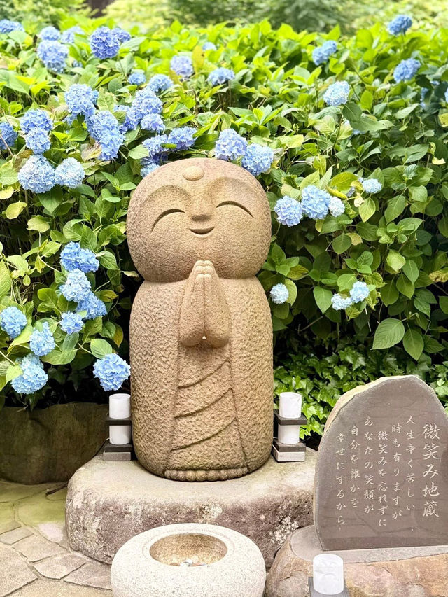 Hydrangea Heaven: A Summer Pilgrimage to Oga's Blue Temple