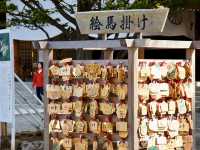 ⛩️ Serene Escape at Hokkaido Jingu