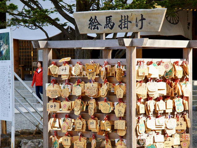 ⛩️ Serene Escape at Hokkaido Jingu