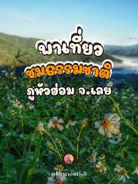 พาเที่ยวชมธรรมชาติ ที่ภูหัวฮ่อม จังหวัดเลย