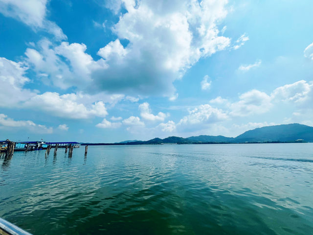 Setiawan in a Day: From Heritage to Mangrove Mischief