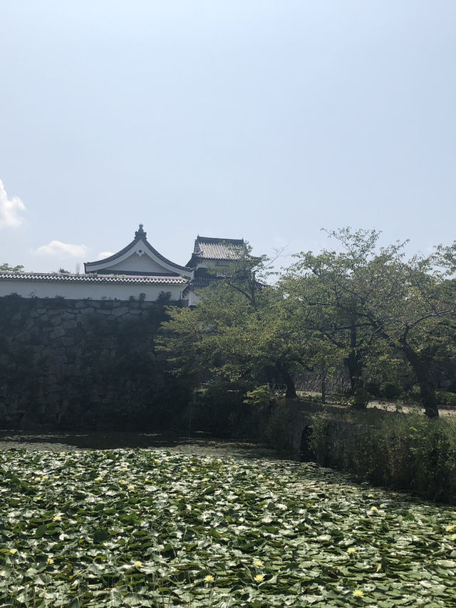 【福岡】福岡城跡