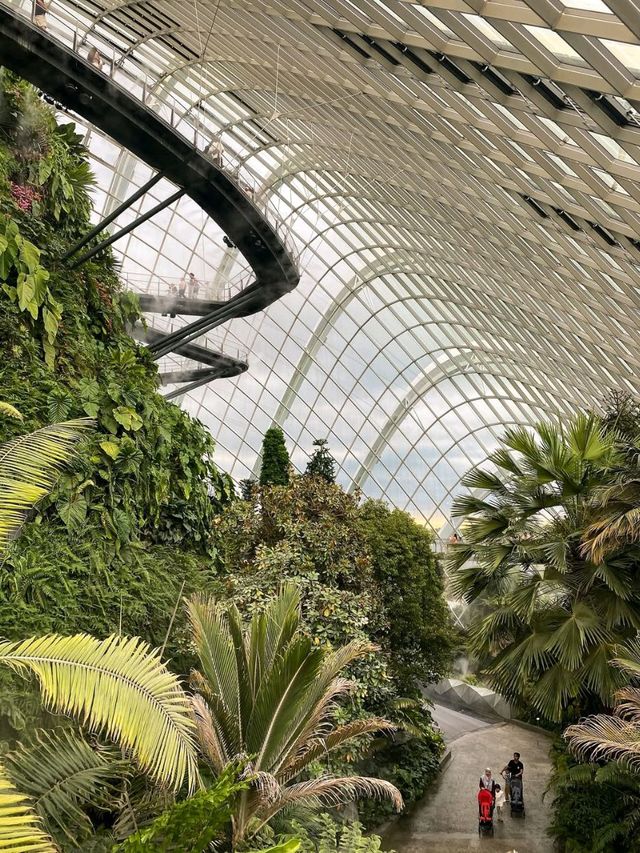 Misty Jungle in a Glass Dome