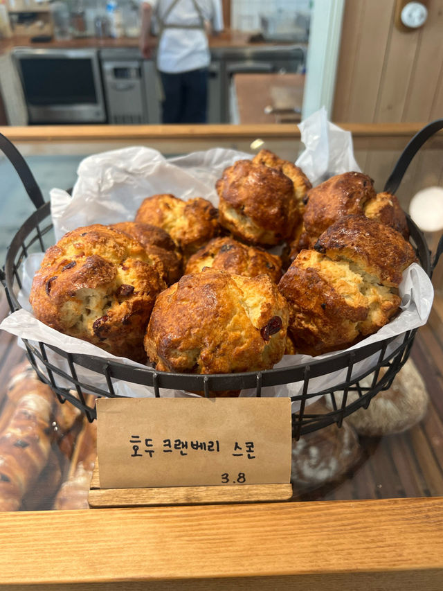 🍞🥪부산 교대 베이커리 카페 카페고온