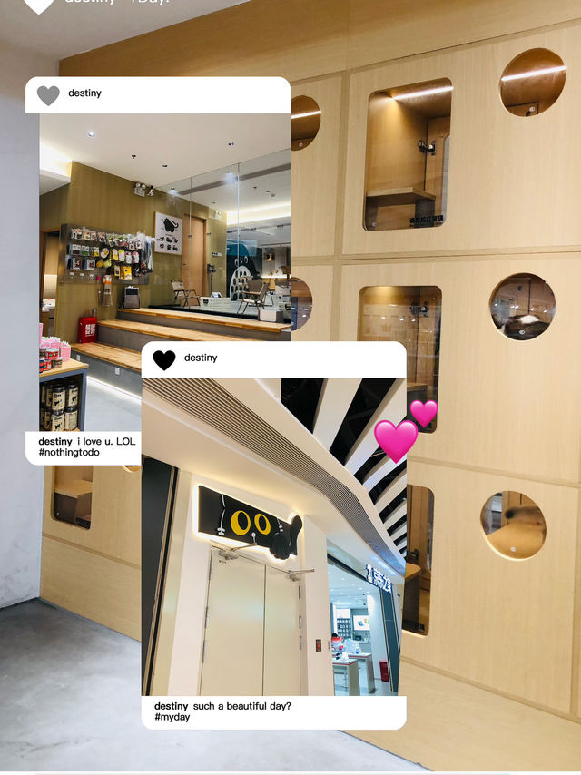 可愛的貓貓🐱店舖
