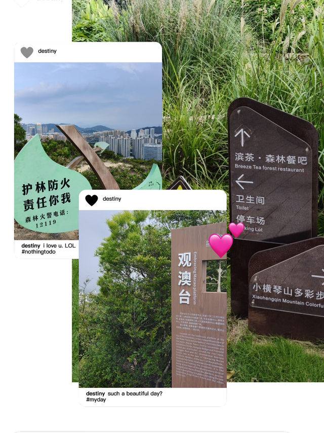 不錯的一個散步徑❤️
