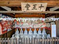 高山 | 大雄寺，飛驒國德川家康的家廟