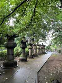 Ueno Park: A Peaceful Escape in Tokyo, Japan