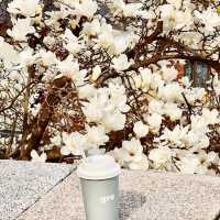 Gre Coffee