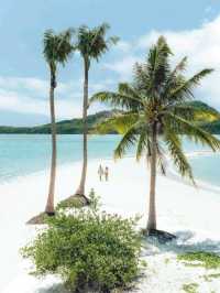 🌴大長島，住進《時代》雜誌榜單  