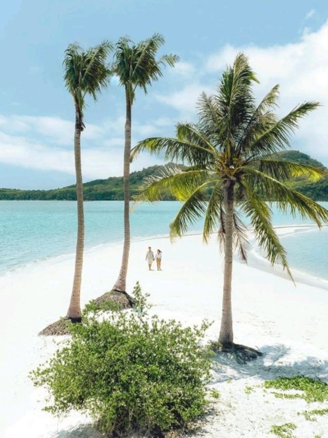 🌴大長島，住進《時代》雜誌榜單  