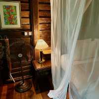 Lantern Dreams and Heritage Grace