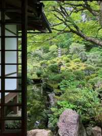 京都必去景點（八） 三千院🌳禪意之美
