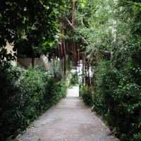 Matapita.tea – ร้านชาสุดอบอุ่นที่ซ่อนตัวอยู่ในหัวหิ