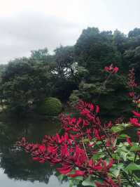 【東京　新宿御苑の早朝開園がスタート】