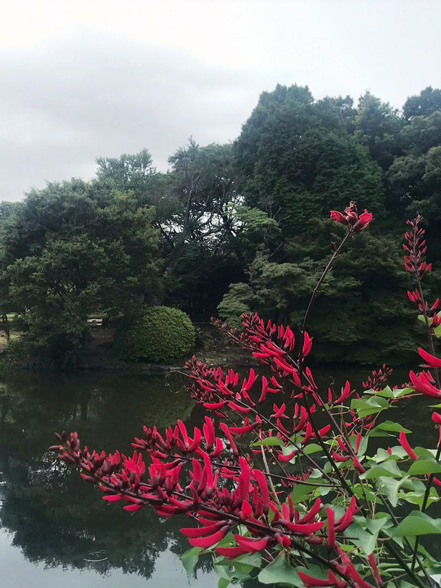【東京　新宿御苑の早朝開園がスタート】