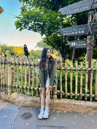 เครื่องเล่นและโชว์ที่ห้ามพลาดเลยในฮ่องกงดิสนี่ย์