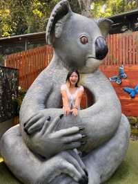 쿠란다 여행시 꼭 가봐야하는 코알라가든 🐨