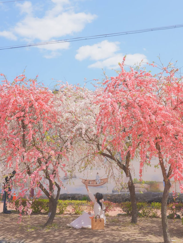 하늘 아래 천국이 있다면 바로 여기일거야🌸❤️