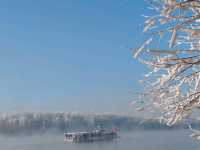 Rime Ice Wonderland
