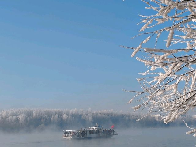 Rime Ice Wonderland