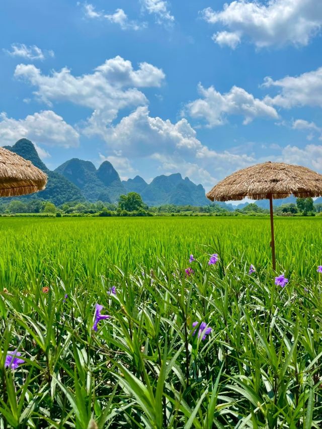 Breathe in Beauty: Discover Yangshuo