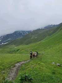horse trail @ Juta 🇬🇪