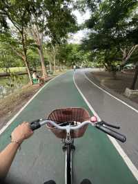 Chatuchak Park สวนจตุจักร