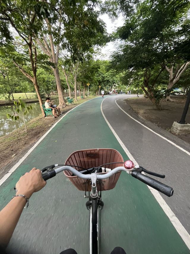 Chatuchak Park สวนจตุจักร