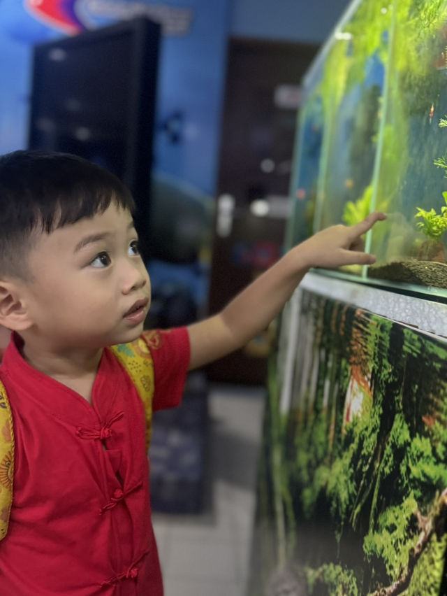 🌊 [Trip Moment] Batu Maung Aquarium: A Mini Marine Adventure in Penang
