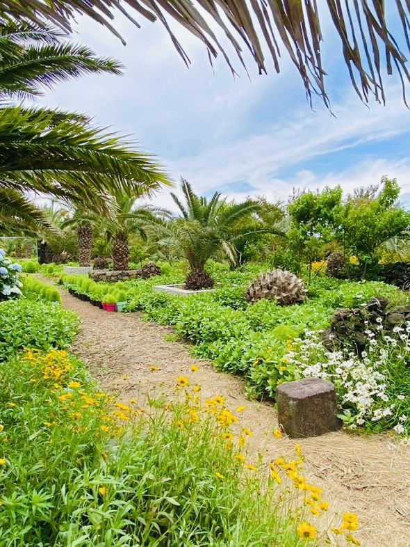 A Tranquil Botanical Oasis with Convenient Access