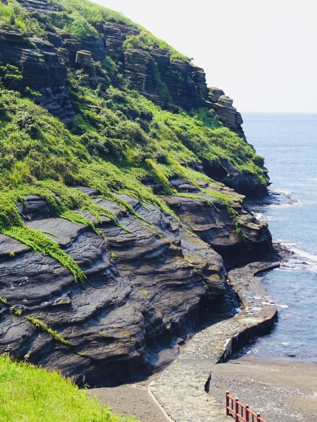 Panoramic Views and Coastal Beauty from the Summit