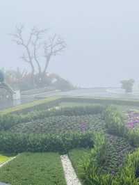 🌧️ Mist, Rain & Magic on Ba Na Hills – Danang’s Dreamlike Mountain