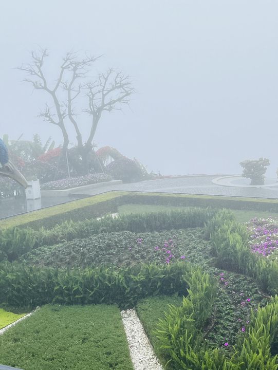 🌧️ Mist, Rain & Magic on Ba Na Hills – Danang’s Dreamlike Mountain