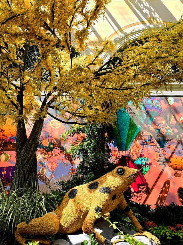 Seasonal Wonderland in Bloom: Bellagio Conservatory & Botanical Garden 🌸🌿
