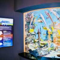 Seamlessly Integrated with Jeju's Eastern Coast Attractions