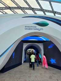 Dive Into Wonder at the New Singapore Oceanarium