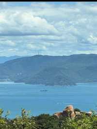 🌿【牛窓オリーブ園】“日本のエーゲ海”で過ごす、癒しと絶景のオリーブ旅