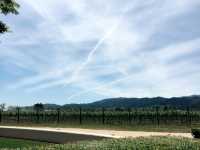 美國加州 舊金山周邊景點 納帕酒莊NAPA