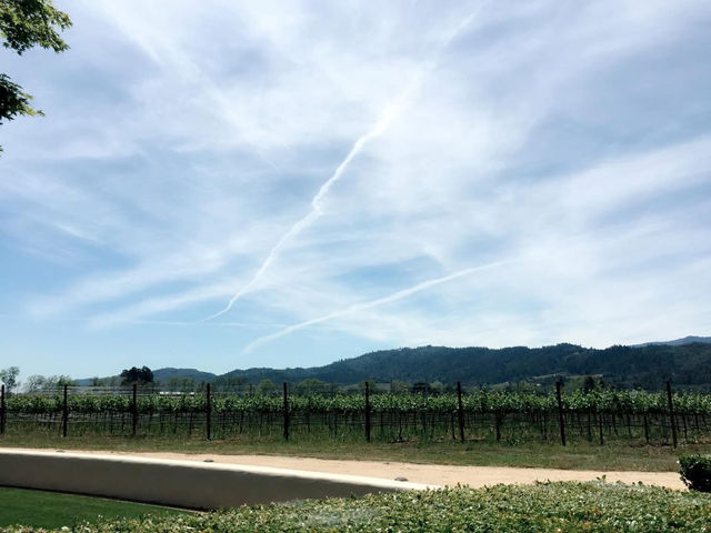 美國加州 舊金山周邊景點 納帕酒莊NAPA