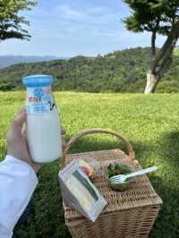マザー牧場🌿