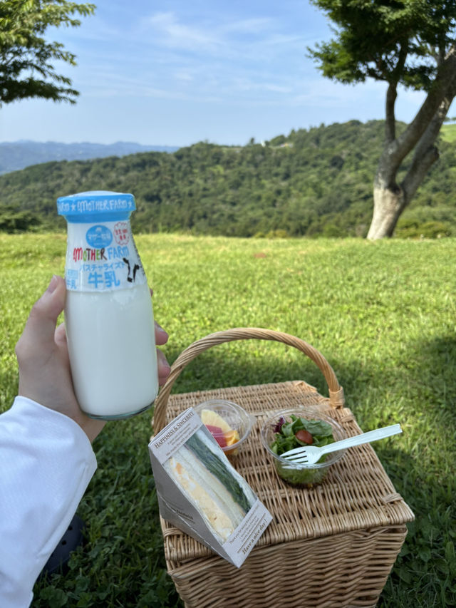 マザー牧場🌿