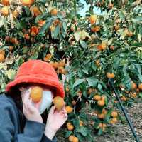 감성가득한 제주 여행 🍊